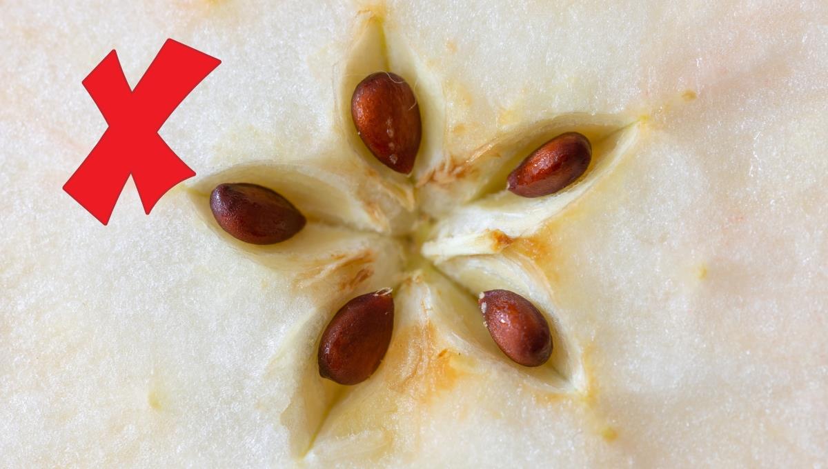 ¡Ten cuidado! Si comes la semilla de esta fruta podrías morir